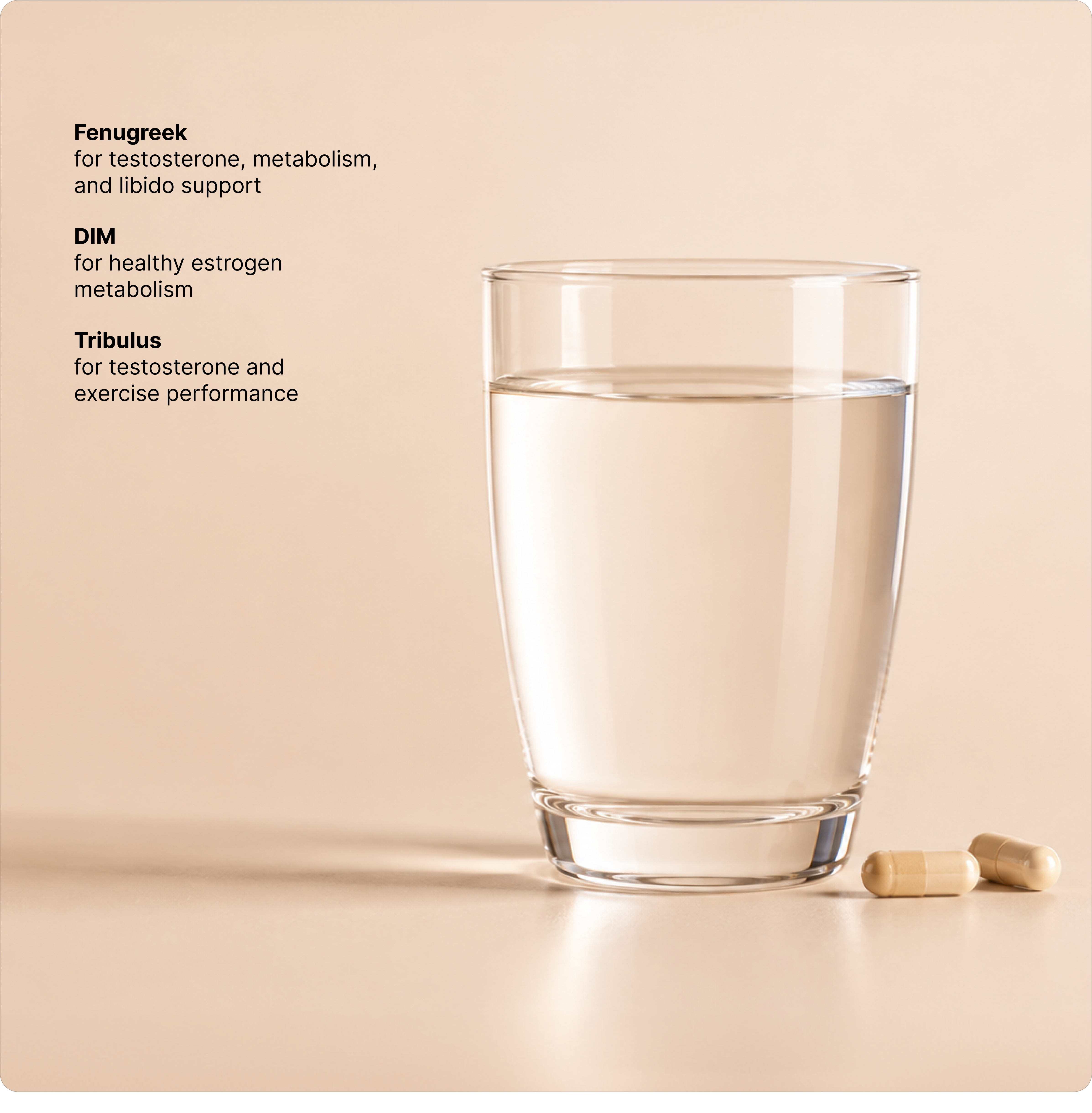 Hormone Support for Men