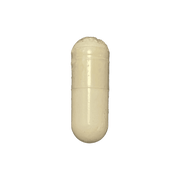 Saw Palmetto